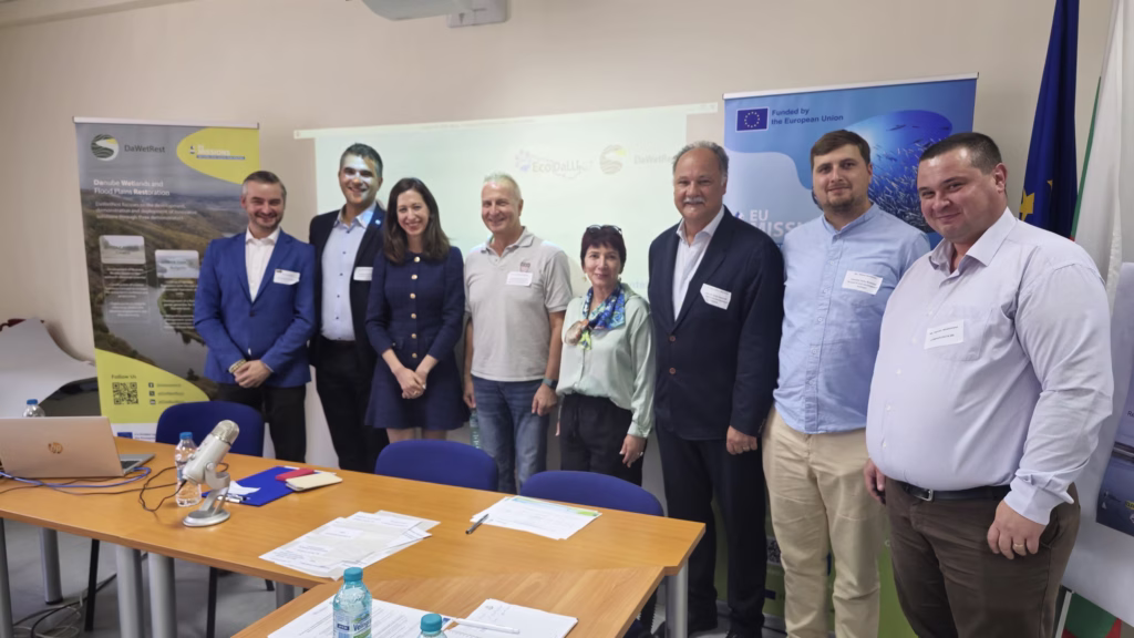 image from rcs rds (17)