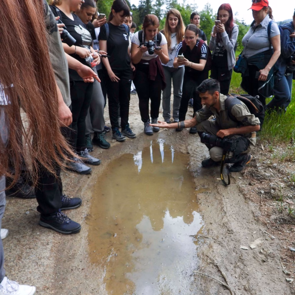 image from rcs rds (32)